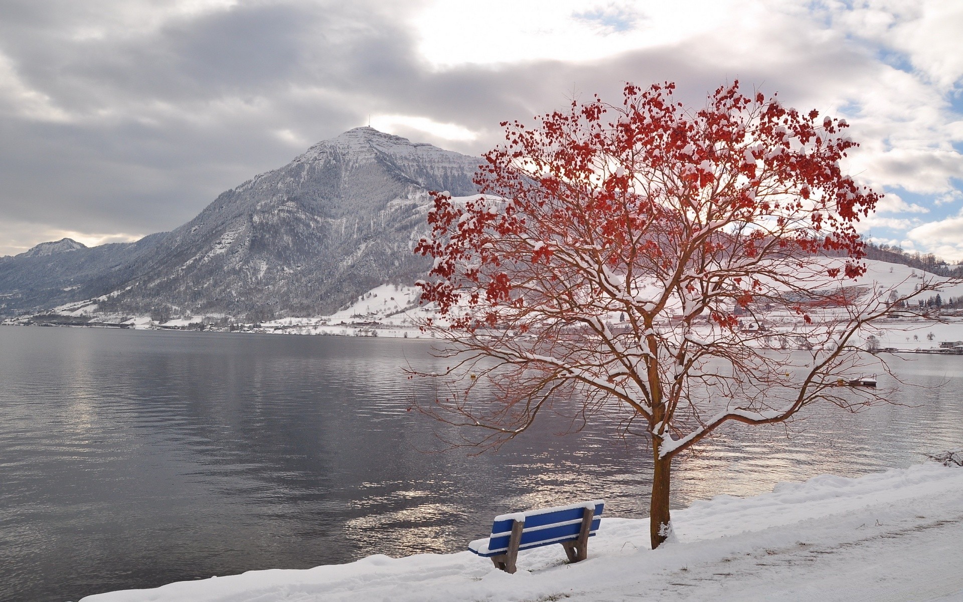 winter snow landscape tree cold scenic ice mountain wood water lake travel nature frozen season