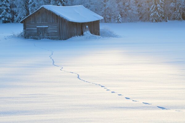 Der Weg der Spuren durch den Schnee zum Haus