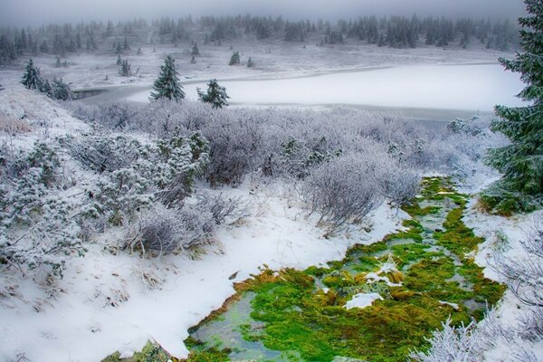 Paisaje de la naturaleza, invierno en la nieve