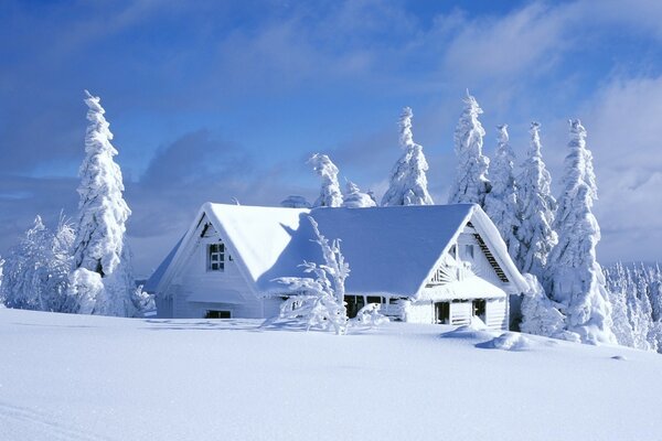 Neige froide, glace gelée