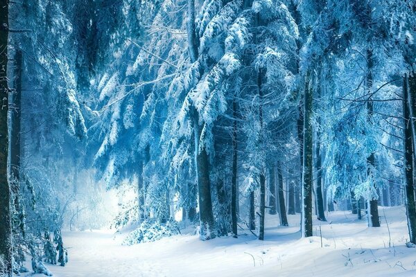 Nieve congelada, invierno frío