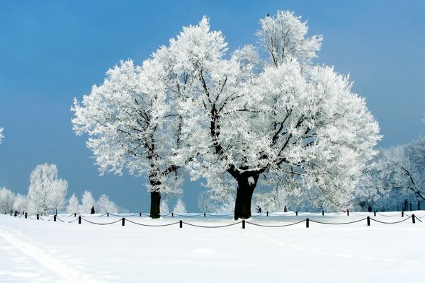 Eine Ecke des großen Winterparks