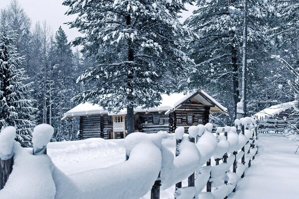 Casas en el bosque de invierno