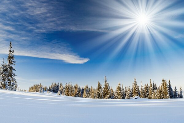 Soleil d hiver brillant dans un ciel clair