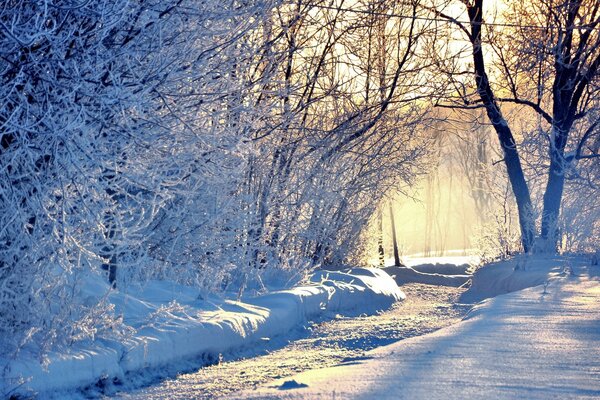 Invierno, día frío, todo en la nieve