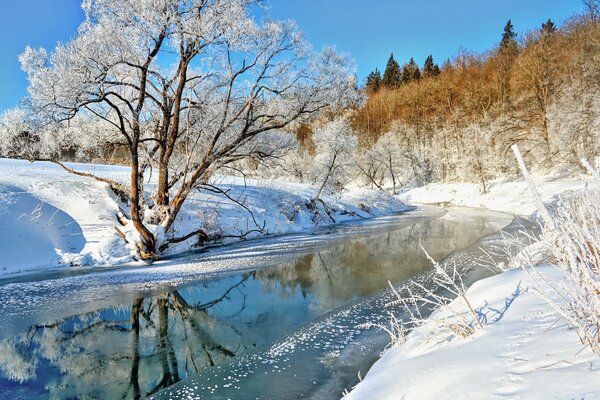 Winter landscape of the frosty forest