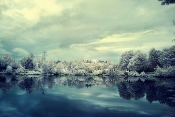 Bosque de invierno en la superficie del espejo del agua