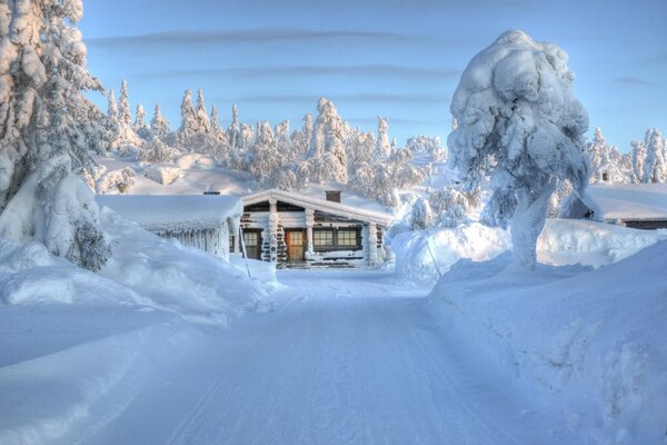 Hiver, neige froide, glace