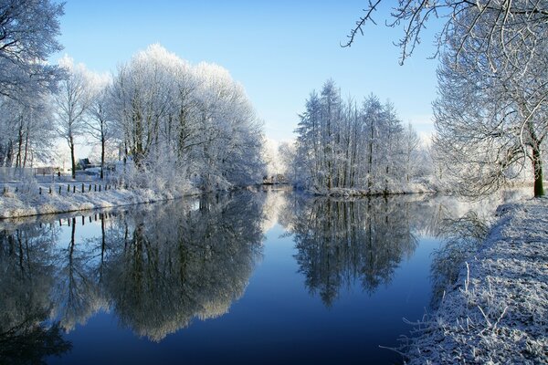 Cold winter landscape, trees in the snow