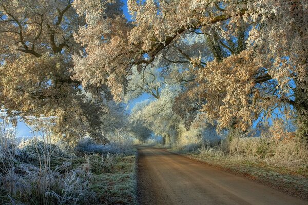 Straße entlang der schneebedeckten Natur