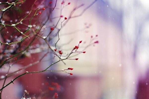 Winter blurred colors are an art