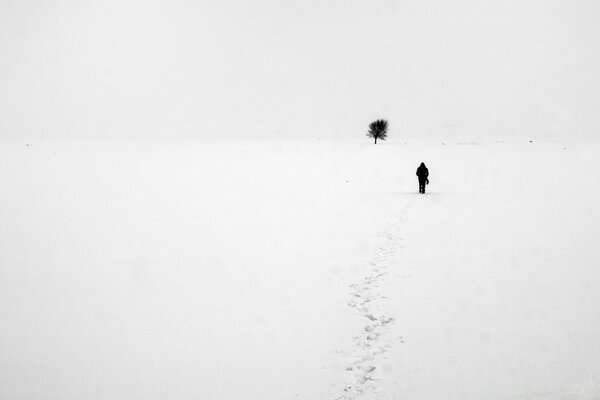 Nieve blanca en invierno al aire libre