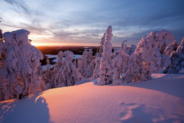 Puesta de sol con árboles cubiertos de nieve en la ladera