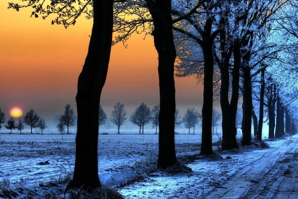 Winterlandschaft mit orangefarbenem Himmel