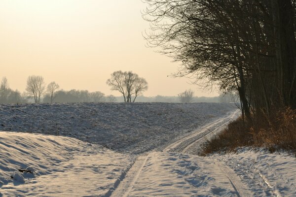 Snowy road along the forest