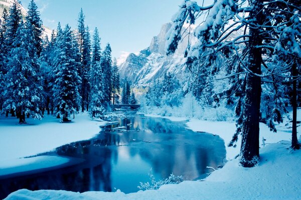 Winter lake by the brooding forest