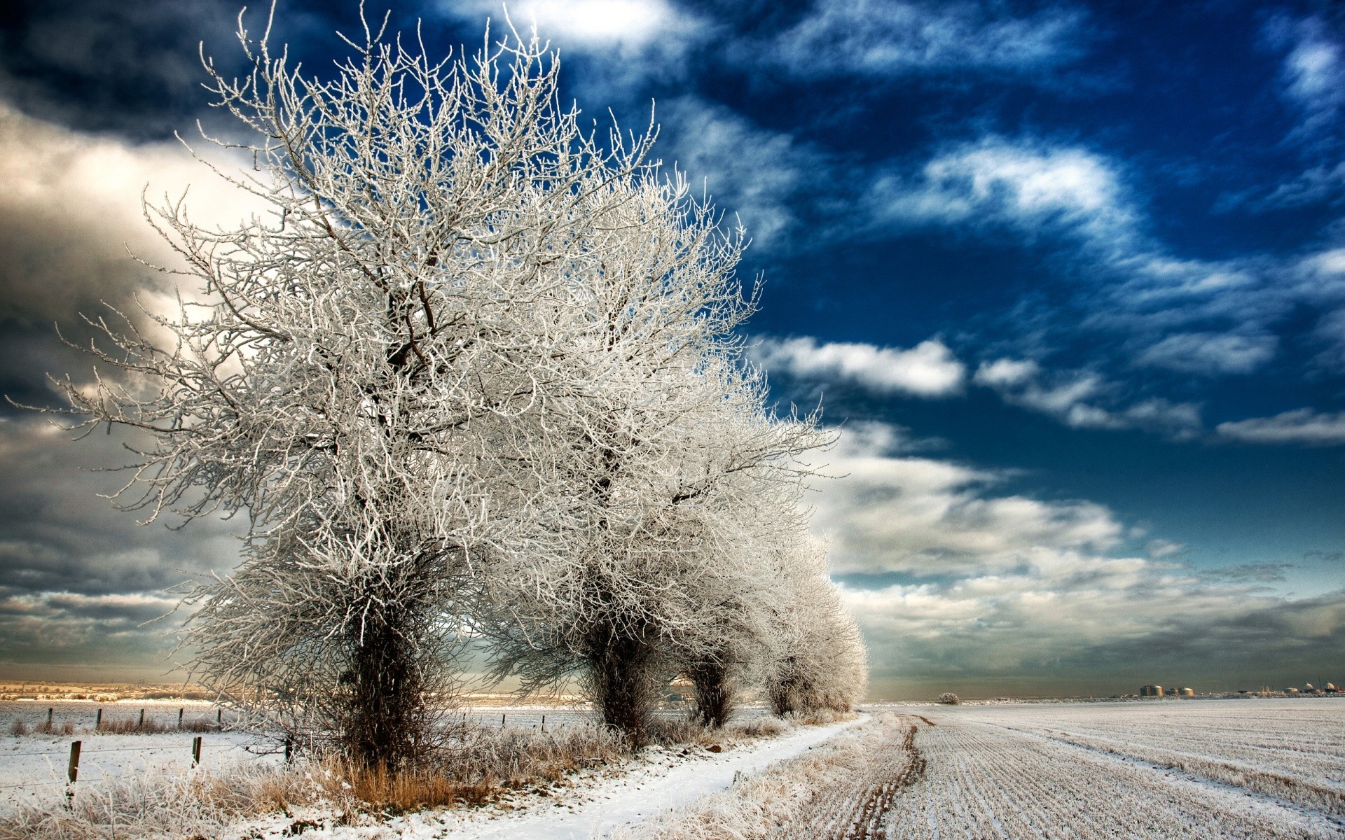 inverno neve gelo natura cielo albero paesaggio congelato freddo stagione all aperto tempo bel tempo ghiaccio legno rurale sole luminoso campagna