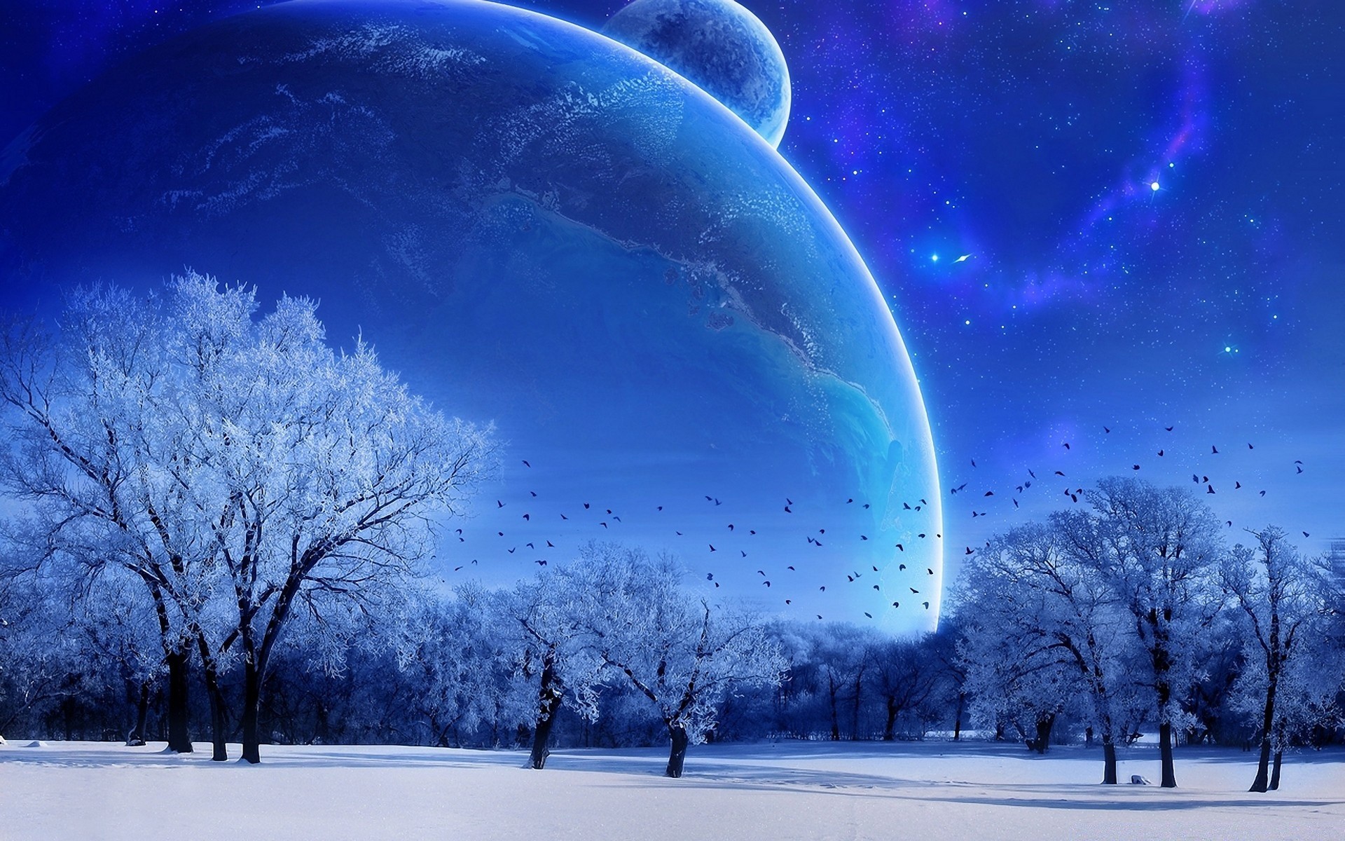 winter snow weather landscape cold nature tree sky light season bright moon