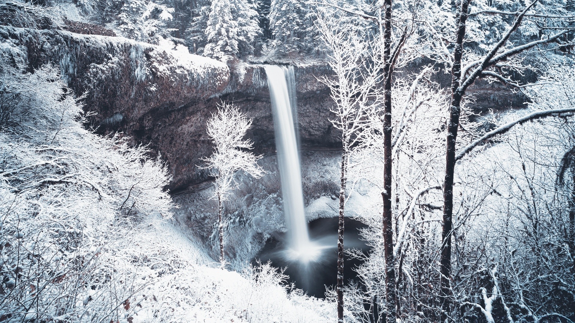 inverno neve freddo gelo legno ghiaccio congelato albero paesaggio natura stagione meteo all aperto acqua scenico ghiacciato neve-bianco fiume