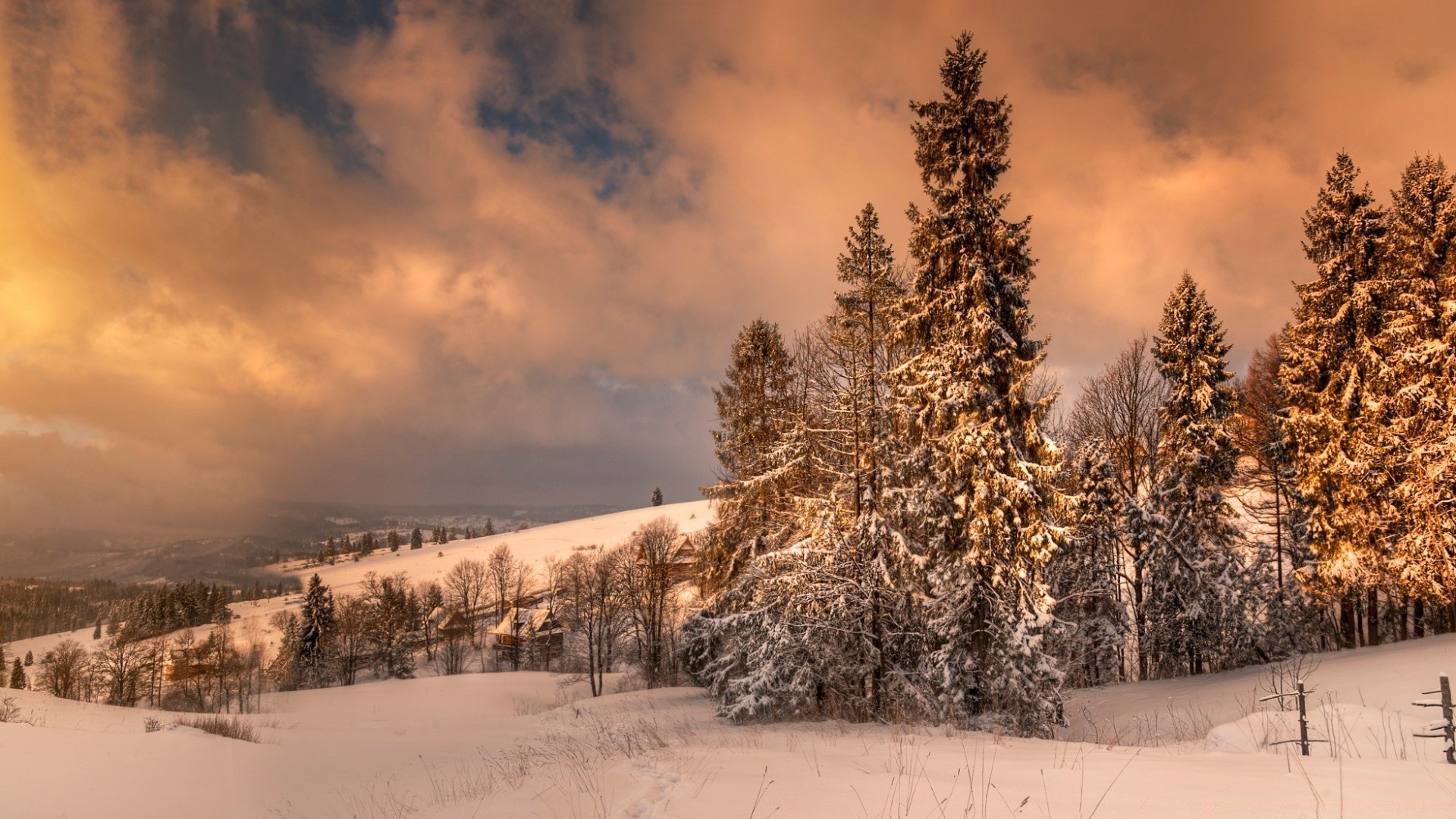 hiver neige bois bois gel paysage froid congelé scénique glace météo nature en plein air montagnes