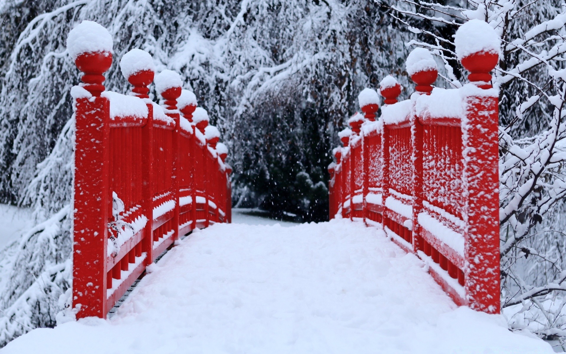 zima śnieg boże narodzenie snowflake sezon zimno mróz mrożone drewno drewno lód jodła śnieżyca sanki bałwan śnieg-biały pogoda sanki zaspa