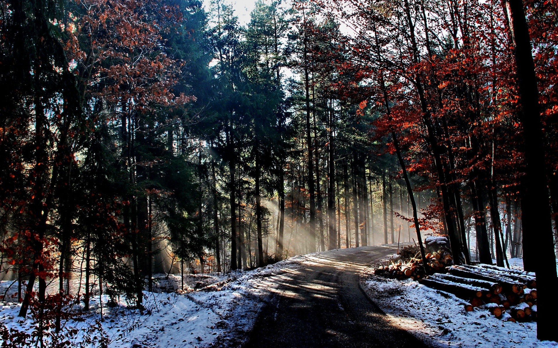 winter landscape wood tree nature season snow road outdoors environment weather fair weather scenic fall cold leaf branch park guidance