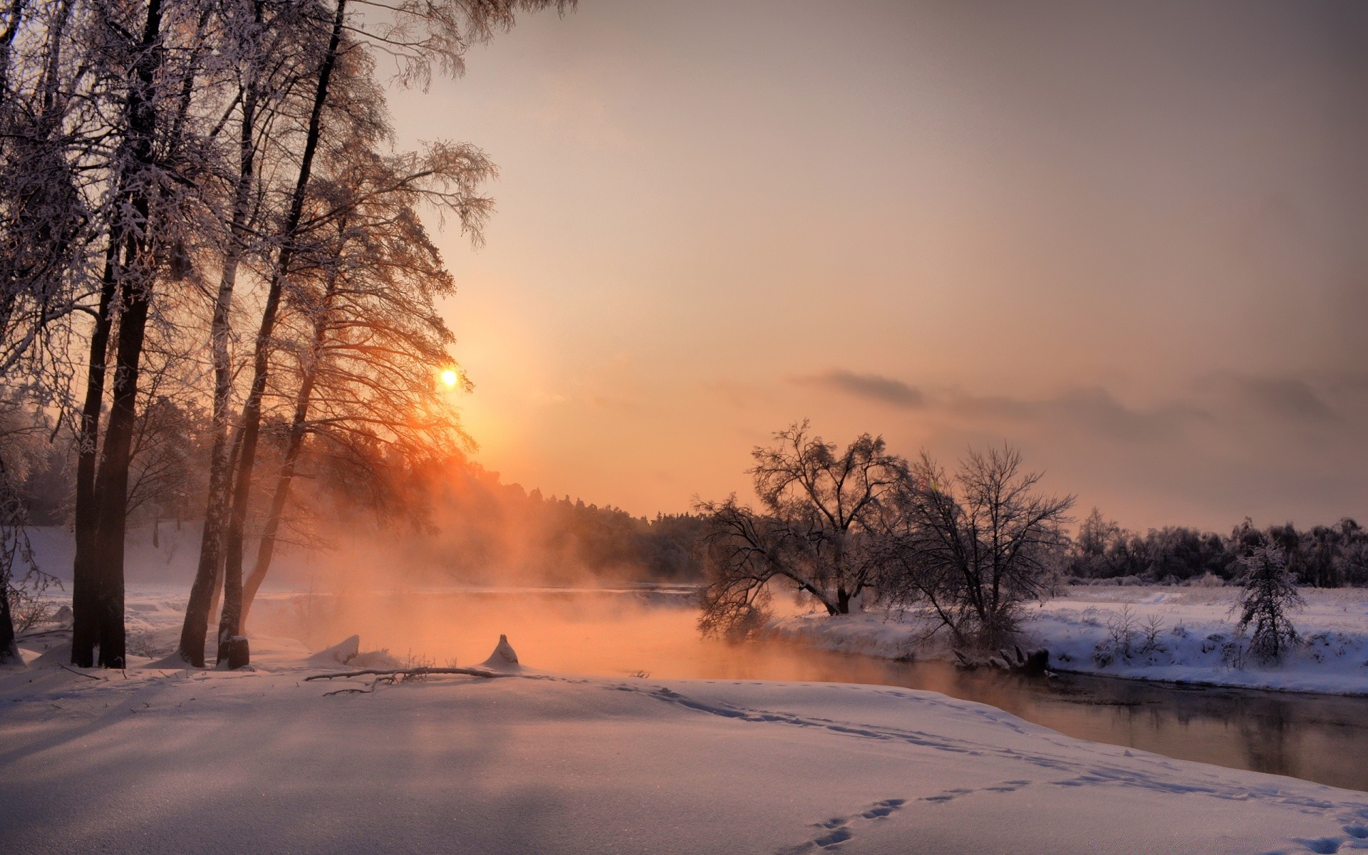 winter schnee dämmerung baum nebel sonnenuntergang landschaft kälte nebel natur eis wetter frost gefroren am abend holz gutes wetter sonne im freien