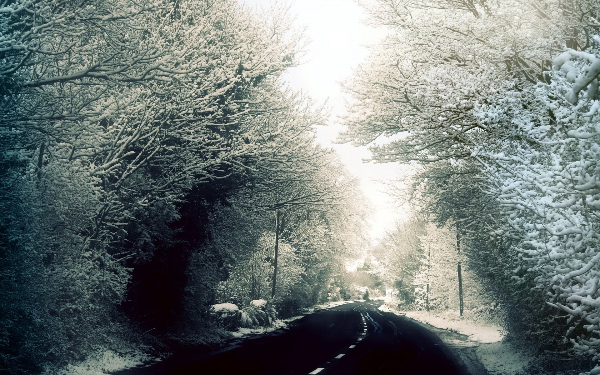 winter baum wetter nebel landschaft