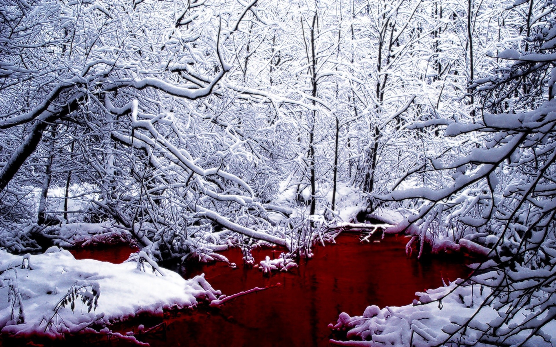 winter schnee frost kälte baum gefroren saison eis holz zweig wetter landschaft natur eisig schnee-weiß frostig schneeflocke