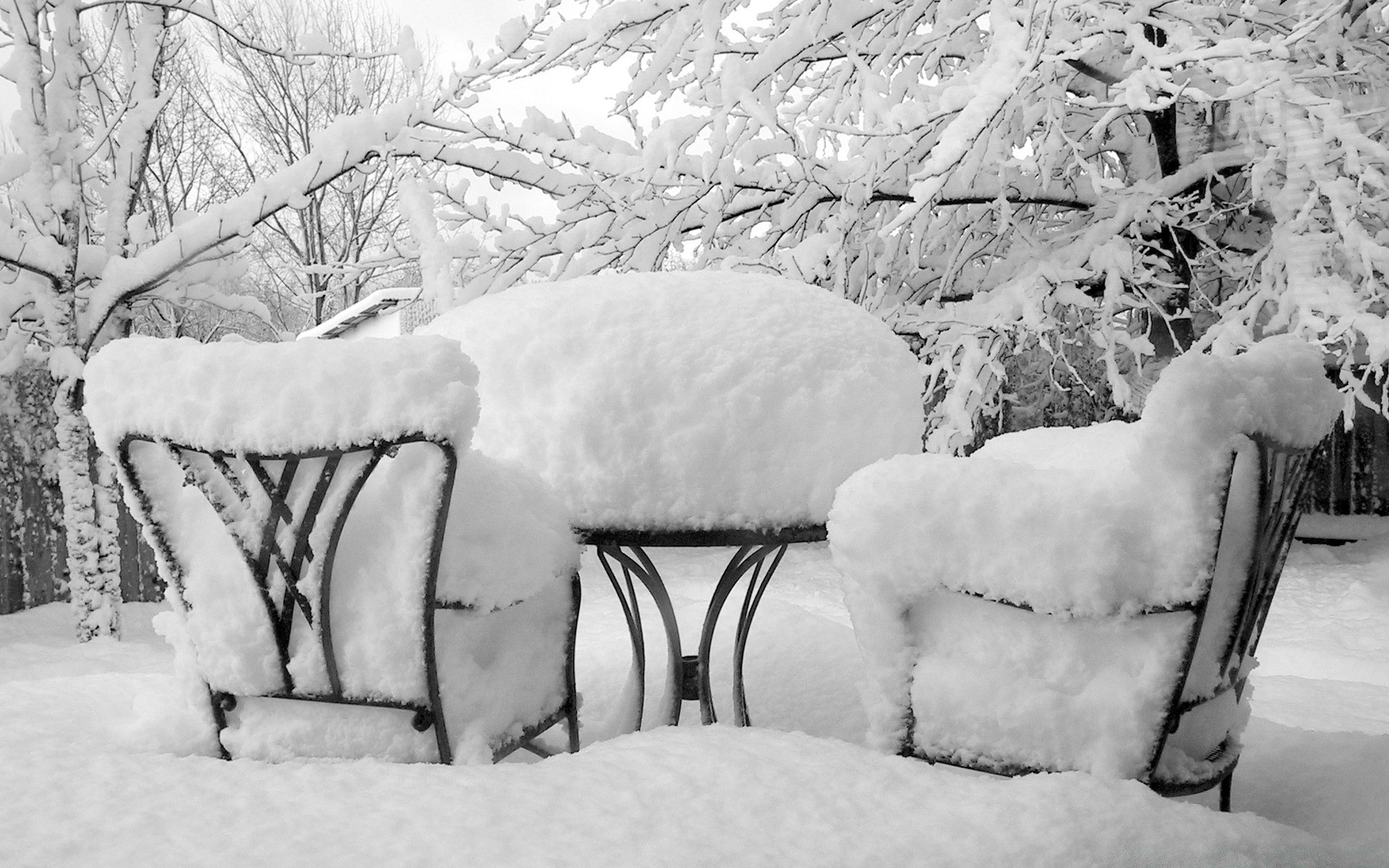 winter schnee frost kälte gefroren schneesturm eis saison holz holz wetter schnee-weiß im freien frostig natur weihnachten möbel