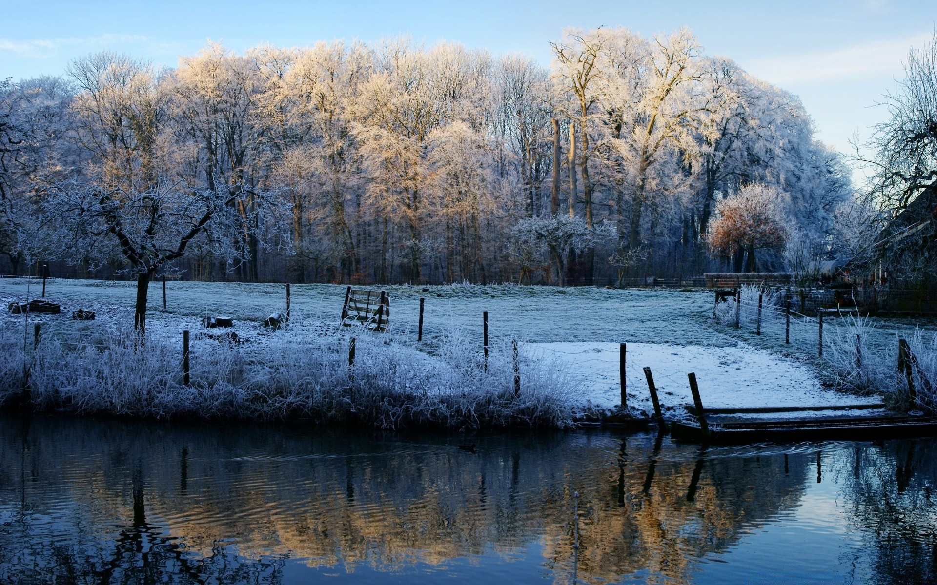 winter landscape tree nature season cold reflection wood water snow lake frost river weather dawn frozen park fall ice