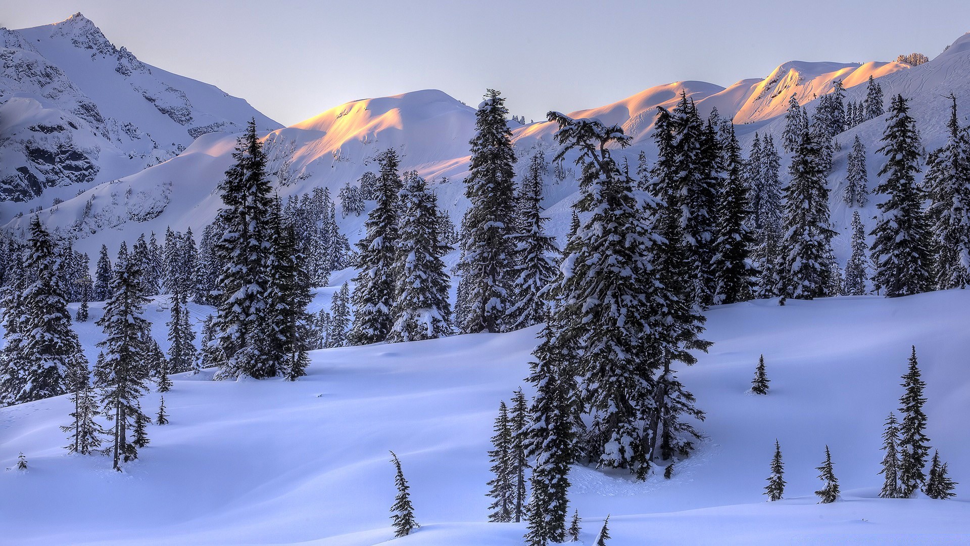 winter schnee berge holz evergreen kälte nadelholz malerisch natur landschaft im freien eis berggipfel gutes wetter