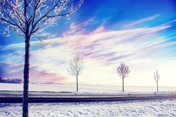 Bäume entlang der Straße wurden im Winter mit Eis bedeckt