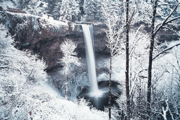 Inverno frio e nevado