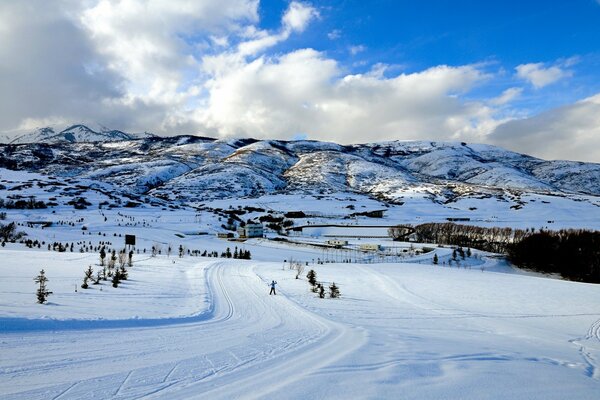 Olympic 5k cross country track