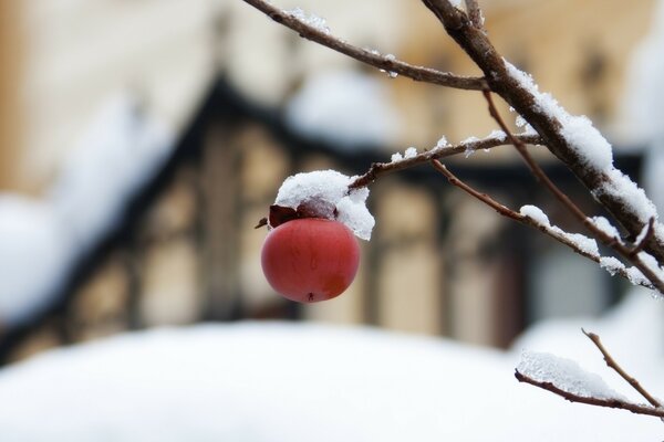 L hiver et toute sa splendeur