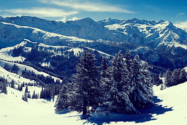 Paisaje de montaña pintoresco en invierno