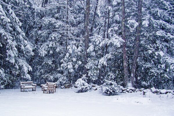 Frío invierno y nieve