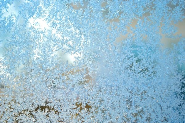 Svegliati balla i fiocchi di neve sono apparsi