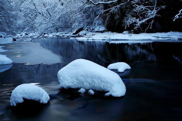 Winterwasser in gefrorenen Wäldern