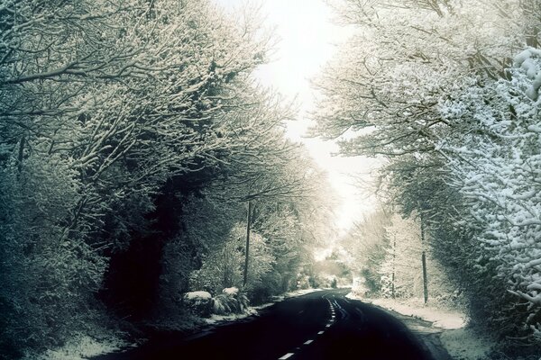 L inverno è costoso nella nebbia. Viaggi