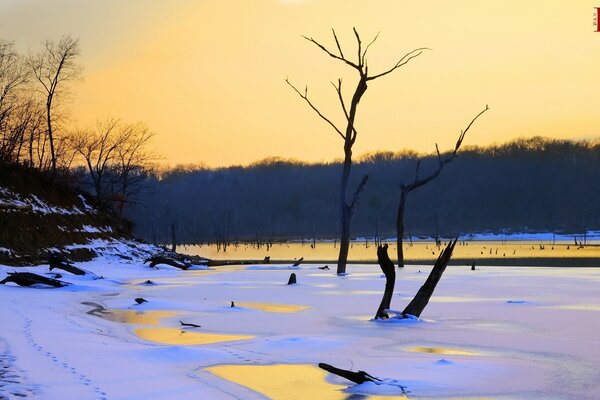 Ein geschmolzener Fluss im Winter inmitten des Waldes