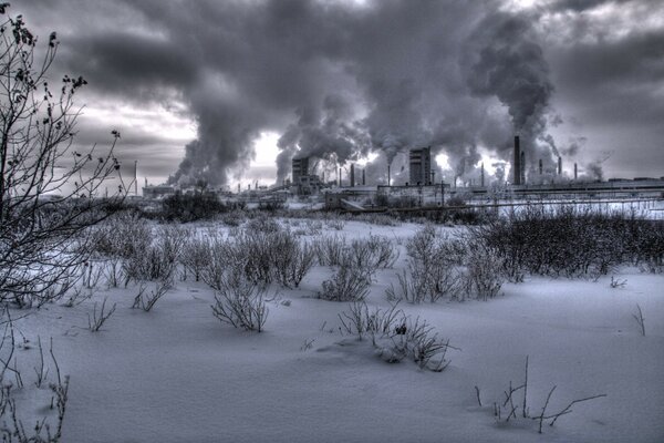 Monochrome winter and snow