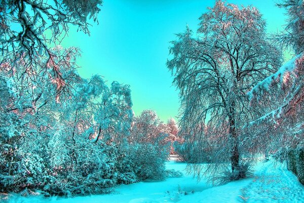 Paysage de forêt de conte de fées d hiver