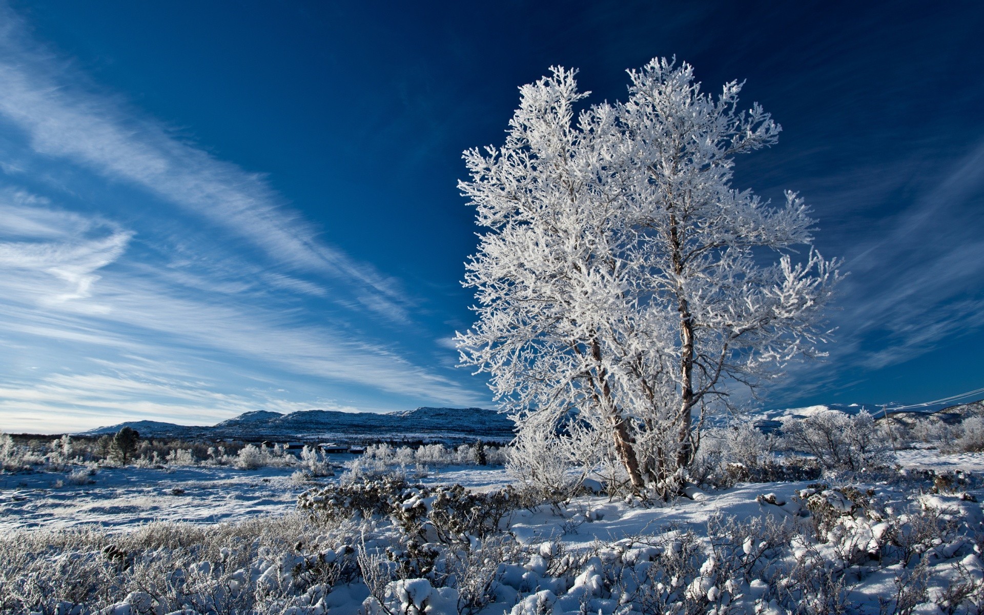 invierno nieve escarcha paisaje frío congelado naturaleza árbol cielo hielo tiempo escénico temporada al aire libre buen tiempo madera escena