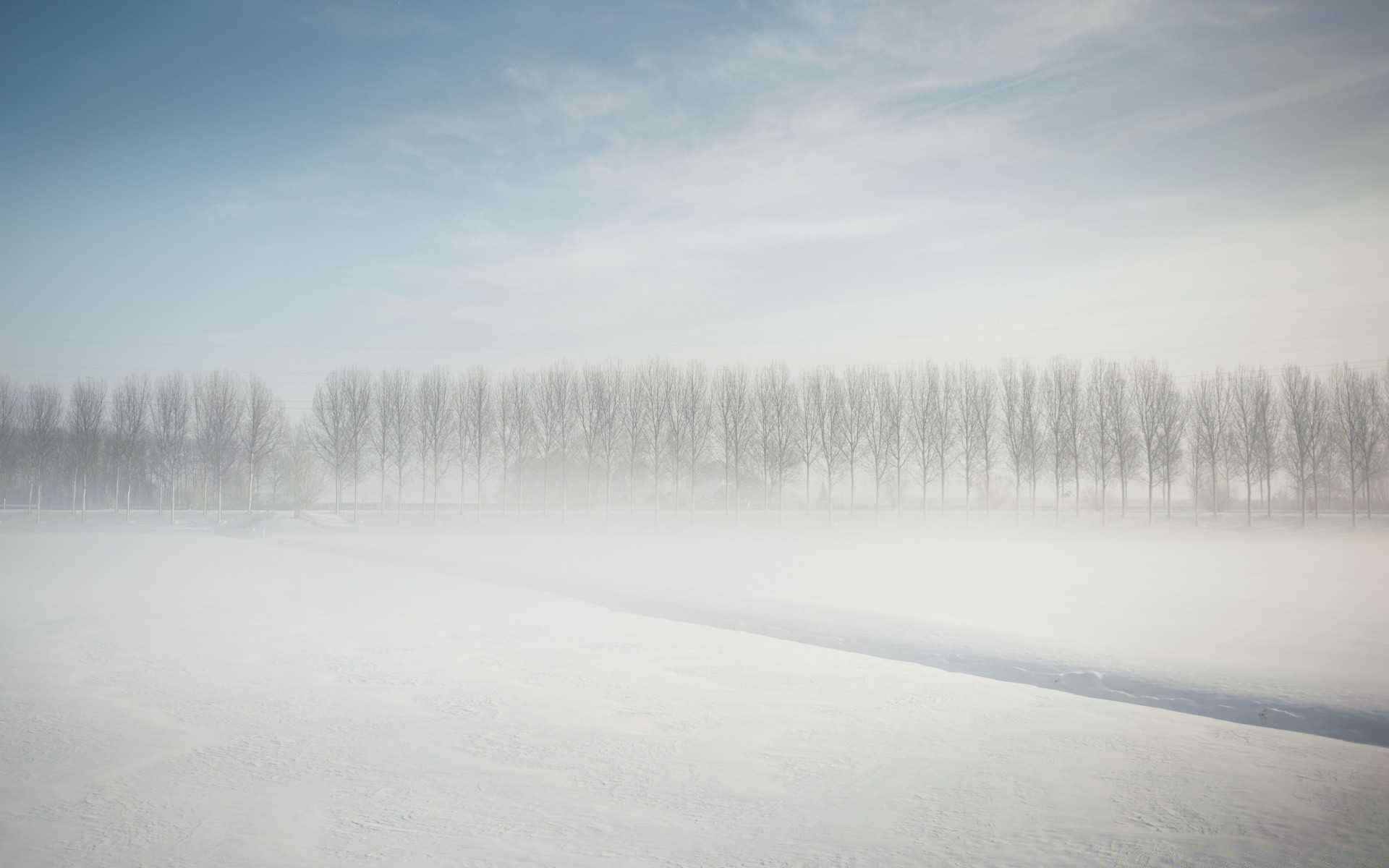 hiver neige paysage froid brouillard météo gel congelé glace bois bois brouillard aube nature lac scénique à l extérieur