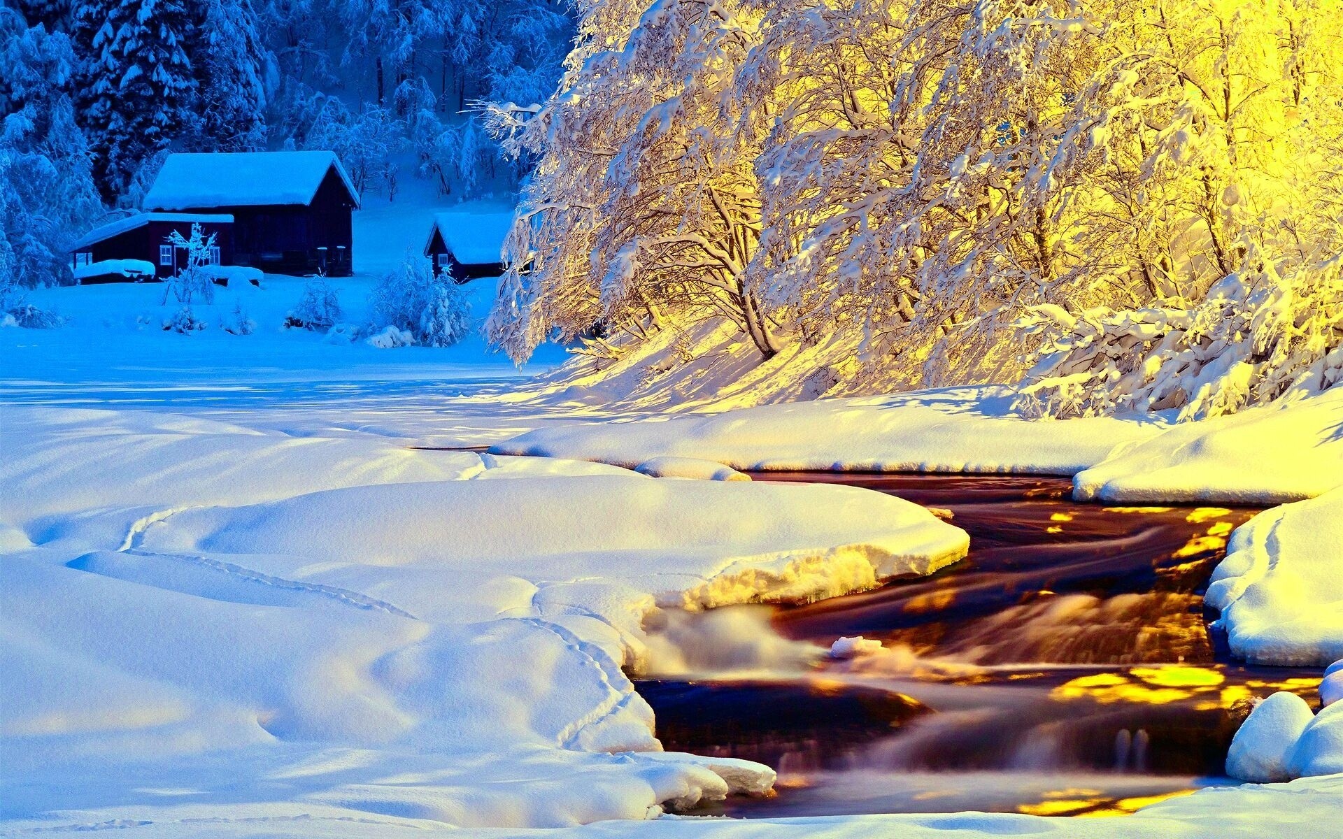 hiver neige paysage froid scénique bois congelé glace eau à l extérieur montagne voyage soir bois gel nature saison lumière rivière