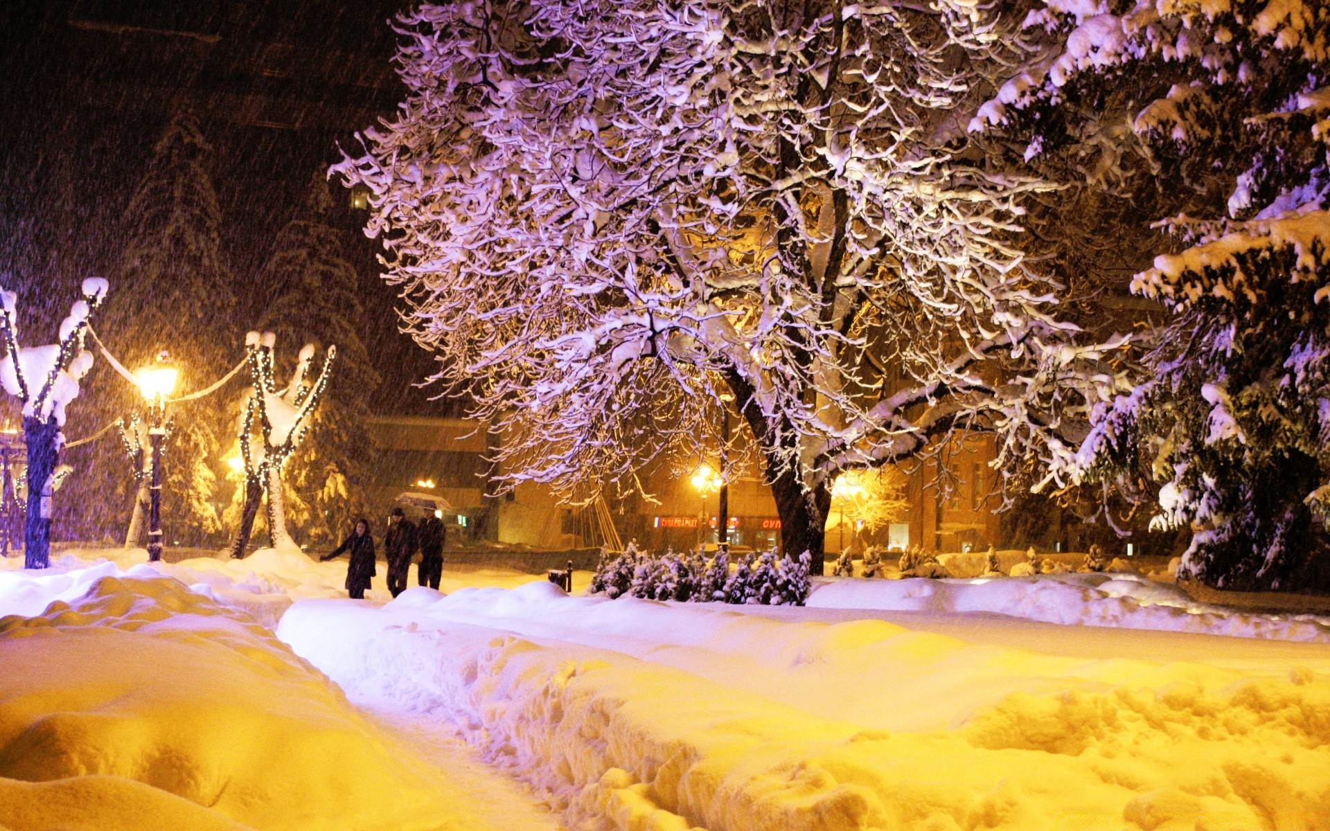 invierno árbol nieve luz navidad paisaje viajes madera al aire libre