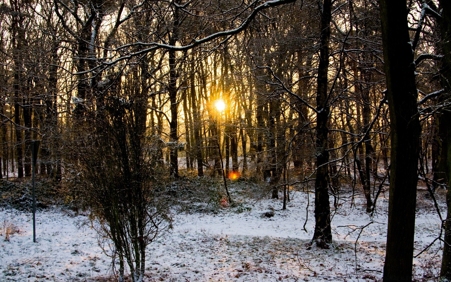 inverno madeira madeira paisagem temporada natureza neve outono parque ramo tempo frio geada bom tempo ao ar livre ambiente cênica amanhecer folha