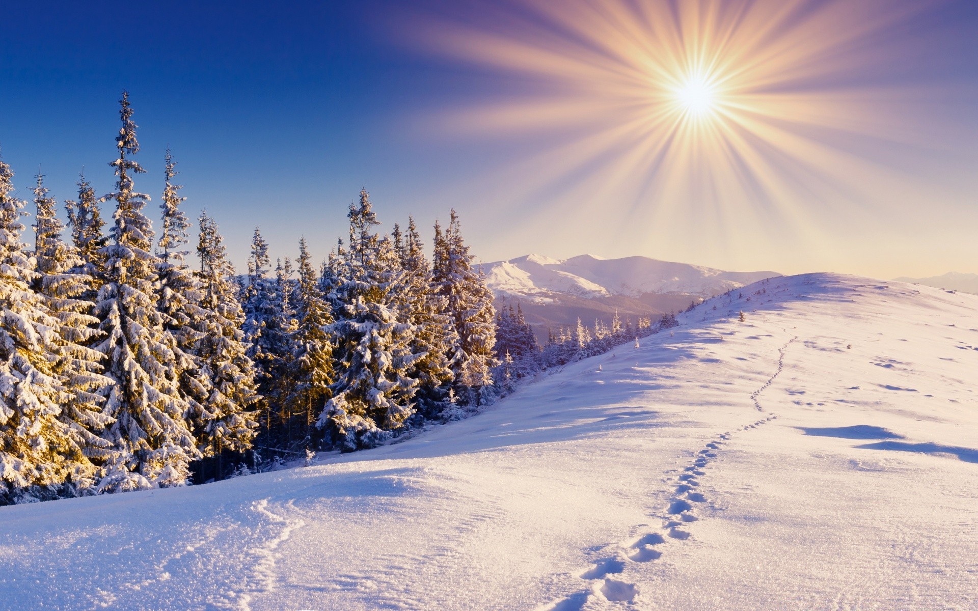 winter schnee frost kälte gefroren saison landschaft gutes wetter holz eis landschaftlich natur baum berge wetter schnee-weiß